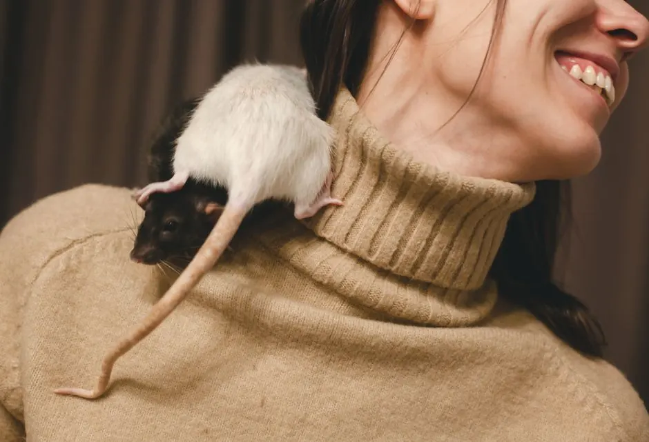 Close-up of a woman smiling with a rat on her shoulder wearing a turtleneck sweater.